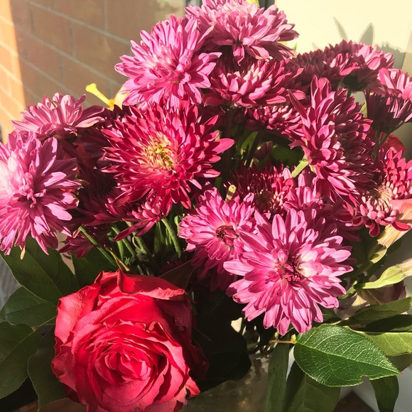 Meet your Posher, Cam - Picture 1 of 1